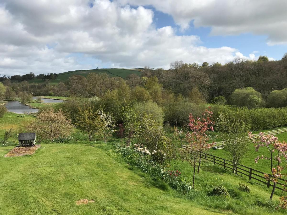 Billerwell B&B Hawick Dış mekan fotoğraf