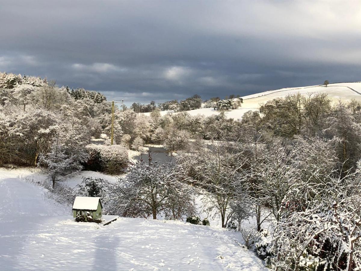 Billerwell B&B Hawick Dış mekan fotoğraf