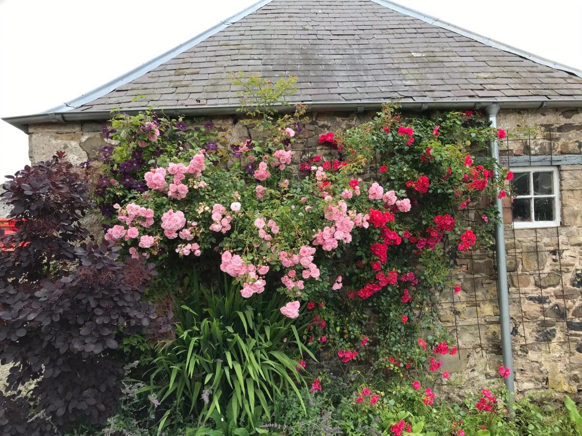 Billerwell B&B Hawick Dış mekan fotoğraf